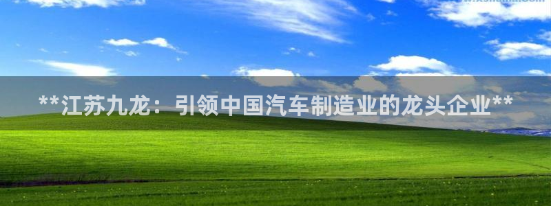 彩神数码科技有限公司