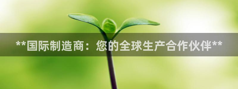 彩神8购彩-购彩大厅：**国际制造商：您的全球生产合作伙伴**