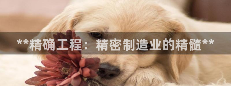 彩神vl购彩大厅：**精确工程：精密制造业的精髓**