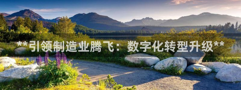 彩神vl官网：**引领制造业腾飞：数字化转型升级**