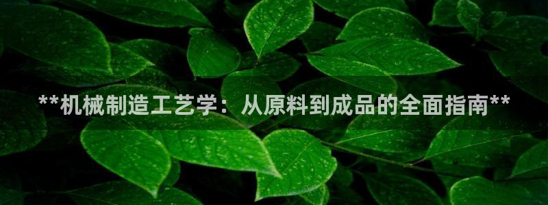 彩神大发黑平台：**机械制造工艺学：从原料到成品的全面指南*