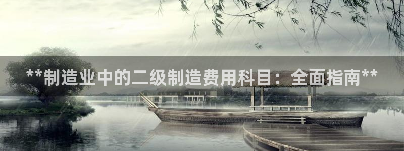彩神vll购彩大厅：**制造业中的二级制造费用科目：全面指南**
