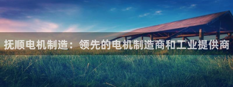 天天赢彩神：抚顺电机制造：领先的电机制造商和工业提供商