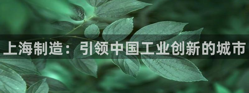 彩神8官网版是正规的吗：上海制造：引领中国工业创新的城市