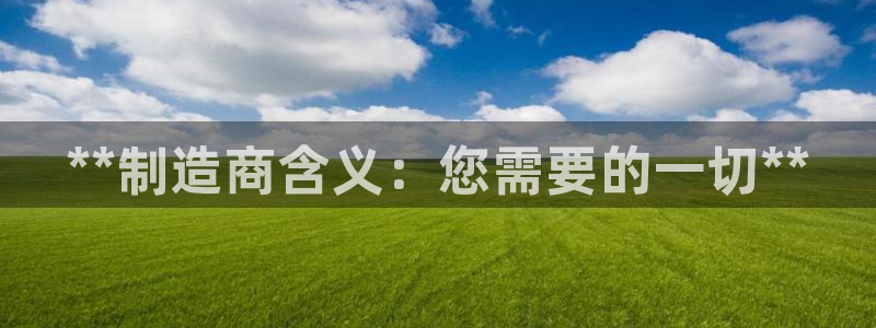 彩神是正规平台吗知乎：**制造商含义：您需要的一切**