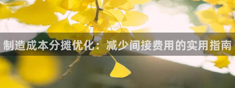下载彩神v8：制造成本分摊优化：减少间接费用的实用指南