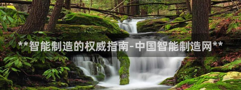 彩神v：**智能制造的权威指南-中国智能制造网**