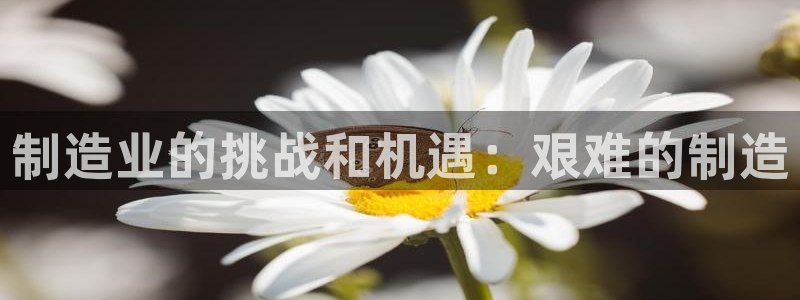 彩神平台能提现吗：制造业的挑战和机遇：艰难的制造