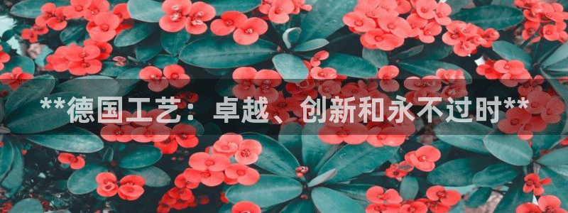 彩神赢了钱登录不上去：**德国工艺：卓越、创新和永不过时**