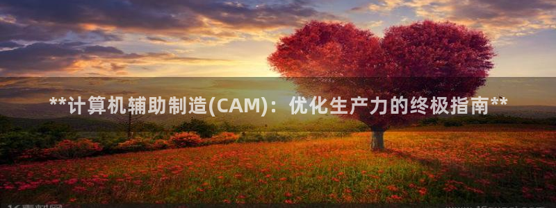 彩神大发是不是人为操作：**计算机辅助制造(CAM)：优化生