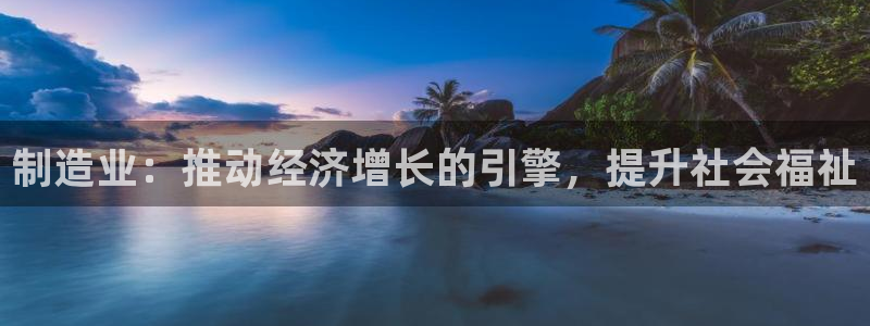 彩神vlll(中国)百度百科：制造业：推动经济增长的引擎，提升社会福祉