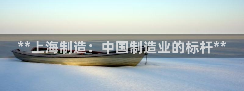 彩神V集团公司：**上海制造：中国制造业的标杆**