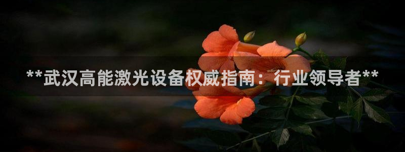 彩神购彩-购彩大厅入口老版：**武汉高能激光设备权威指南：行