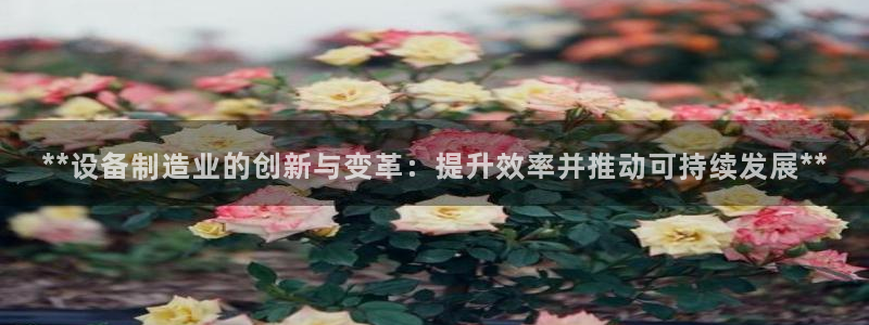 彩神v8是一个什么平台啊：**设备制造业的创新与变革：提升效率并推动可持续发展**