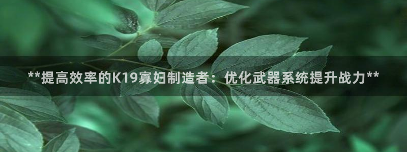彩神购彩-购彩大厅入口老版：**提高效率的K19寡妇制造者：