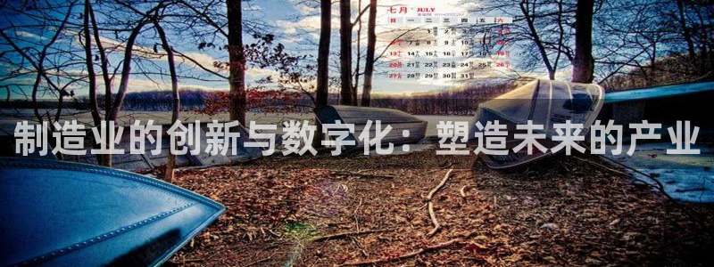 在彩神网输了六万多怎么拿回来：制造业的创新与数字化：塑造未来