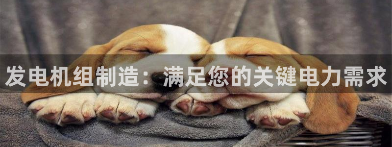 彩神v8客户端：发电机组制造：满足您的关键电力需求