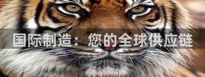 彩神v8首页：国际制造：您的全球供应链