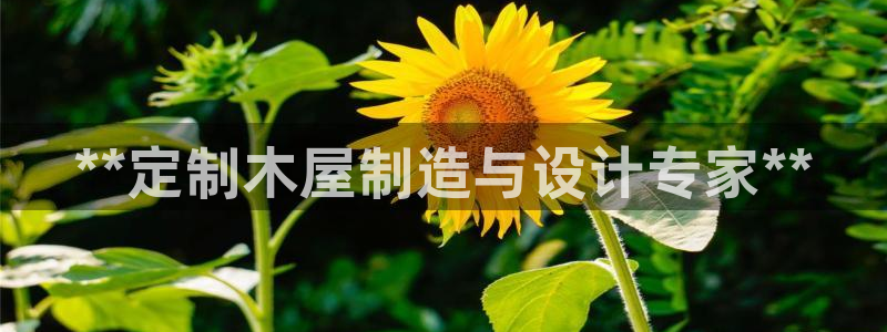 彩神viii是正规平台吗?：**定制木屋制造与设计专家**