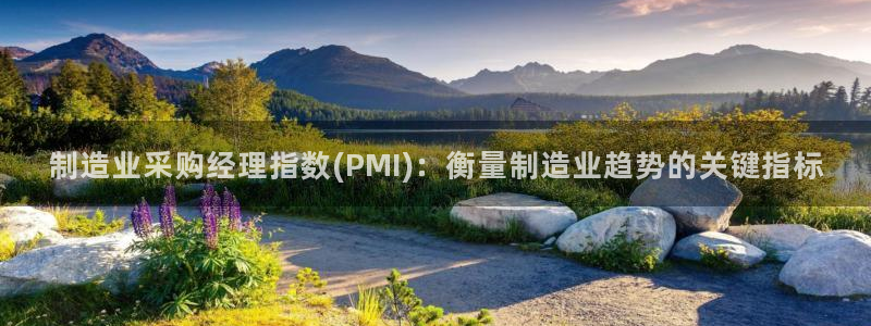 彩神怎么才能赢：制造业采购经理指数(PMI)：衡量制造业趋势