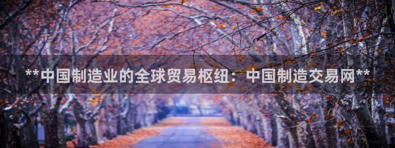 彩神VI首页