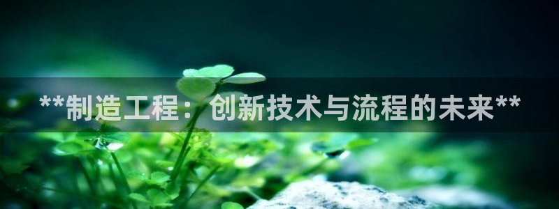 彩神ix官网：**制造工程：创新技术与流程的未来**
