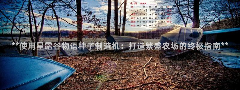 彩神平台是什么套路：**使用星露谷物语种子制造机：打造繁盛农场的终极指南**
