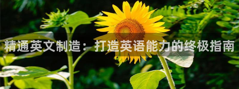 彩神vll购彩大厅大众：精通英文制造：打造英语能力的终极指南