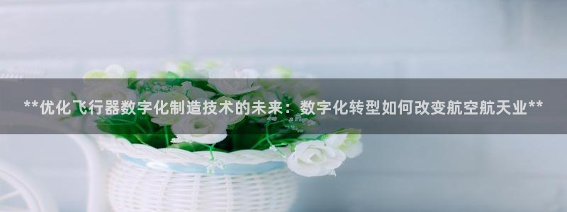 彩神vll趣投彩：**优化飞行器数字化制造技术的未来：数字化转型如何改变航空航天业**