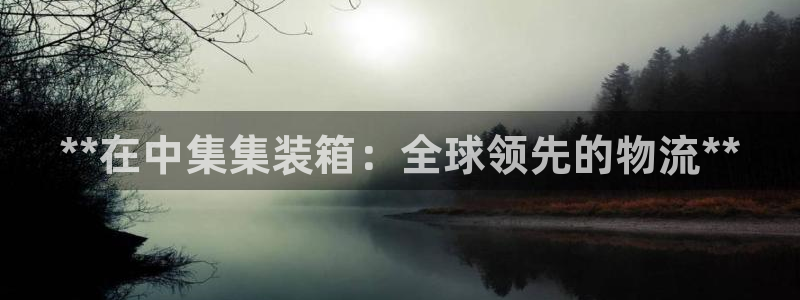 彩神可以提现吗：**在中集集装箱：全球领先的物流**