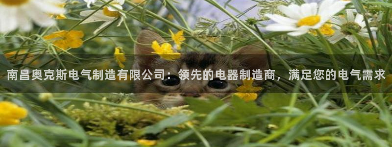 彩神v8下载app5.0：南昌奥克斯电气制造有限公司：领先的电器制造商，满足您的电气需求
