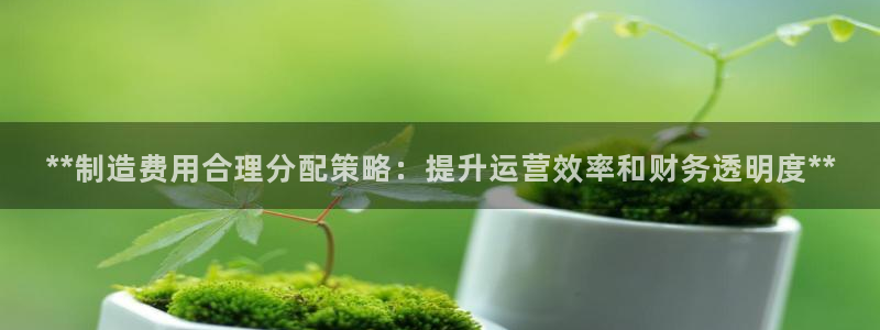 彩神输的钱是赌博还是诈骗：**制造费用合理分配策略：提升运营效率和财务透明度**
