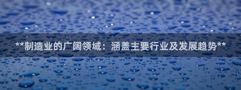 彩神数码科技有限公司