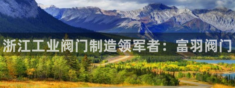 彩神v8iii：浙江工业阀门制造领军者：富羽阀门