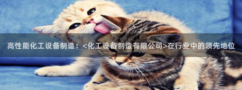 彩神vlll官方网：高性能化工设备制造：<化工设备制造有限公司>在行业中的领先地位
