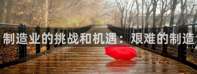 彩神vllⅰ购彩大厅：制造业的挑战和机遇：艰难的制造