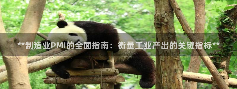 彩神广告有限公司