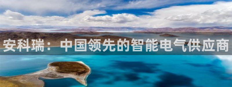 彩神是怎样一个平台赚钱的：安科瑞：中国领先的智能电气供应商