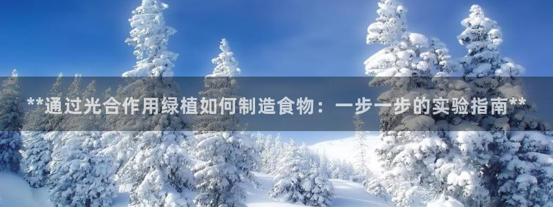 新版彩神v8登录不了：**通过光合作用绿植如何制造食物：一步一步的实验指南**