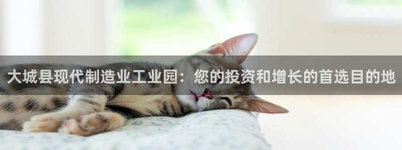 彩神用户登录：大城县现代制造业工业园：您的投资和增长的首选目的地