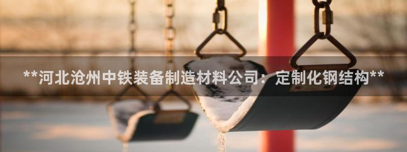 彩神数码科技有限公司：**河北沧州中铁装备制造材料公司：定制化钢结构**