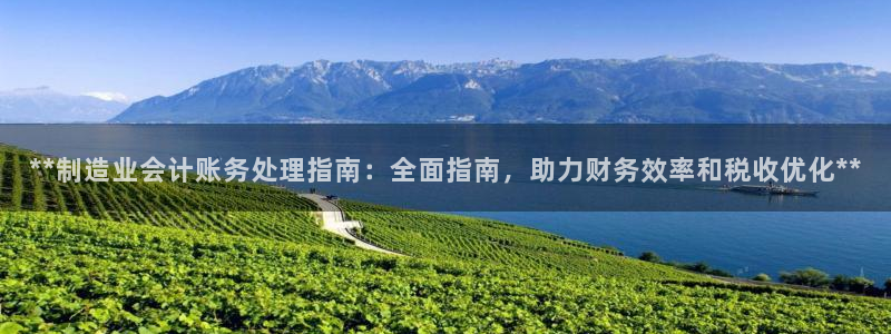 彩神v8下载app：**制造业会计账务处理指南：全面指南，助力财务效率和税收优化**