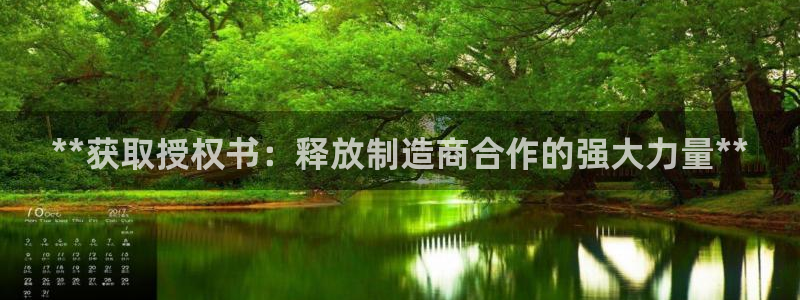 彩神平台能提现吗：**获取授权书：释放制造商合作的强大力量**