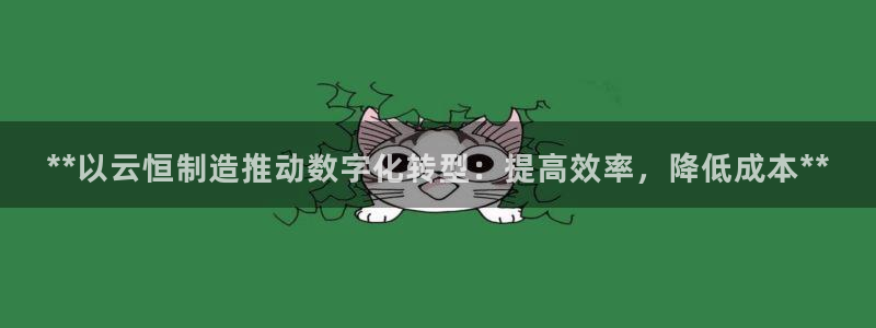 彩神v1破解器：**以云恒制造推动数字化转型：提高效率，降低成本**
