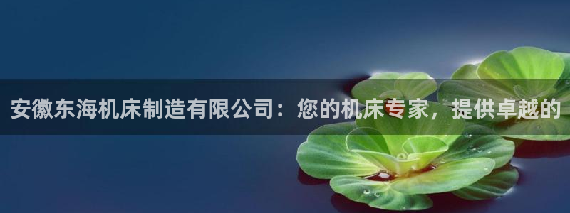 彩神8是正规平台吗：安徽东海机床制造有限公司：您的机床专家，提供卓越的
