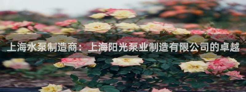 彩神Vll：上海水泵制造商：上海阳光泵业制造有限公司的卓越