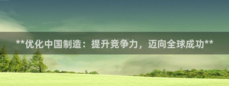彩神赢了钱登录不上去：**优化中国制造：提升竞争力，迈向全球成功**