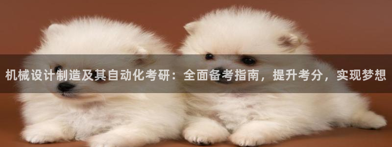 彩神8官网下：机械设计制造及其自动化考研：全面备考指南，提升