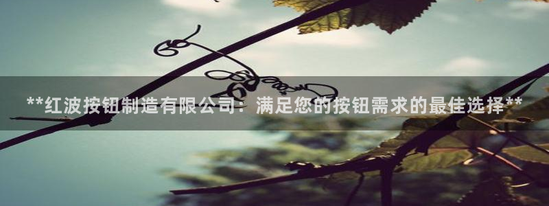 彩神ll能赚钱吗：**红波按钮制造有限公司：满足您的按钮需求