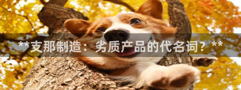 彩神网合法吗：**支那制造：劣质产品的代名词？**